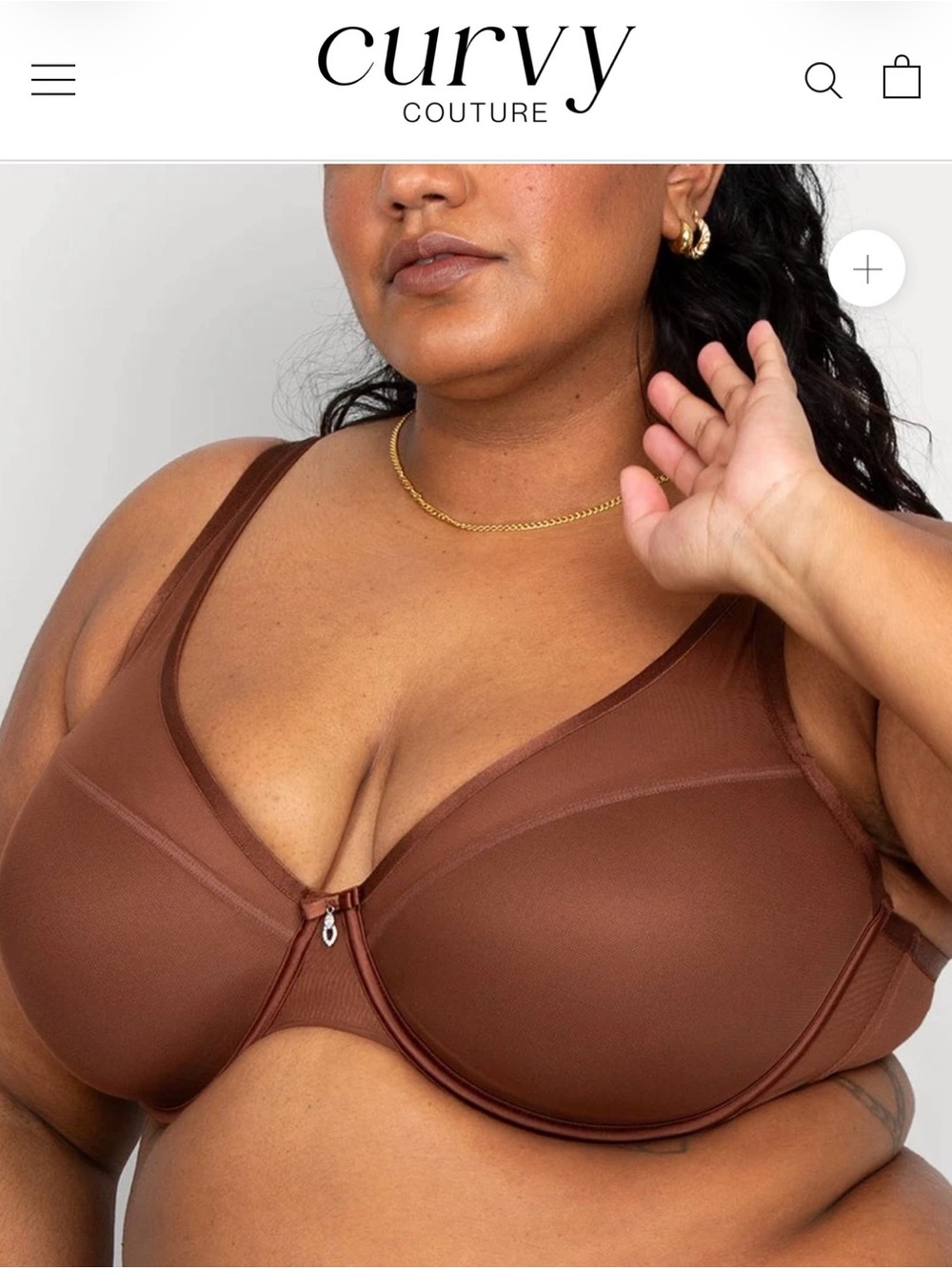 NWT Curvy Couture 42H Sheer Mesh Push-Up Bra Chocolate Brown